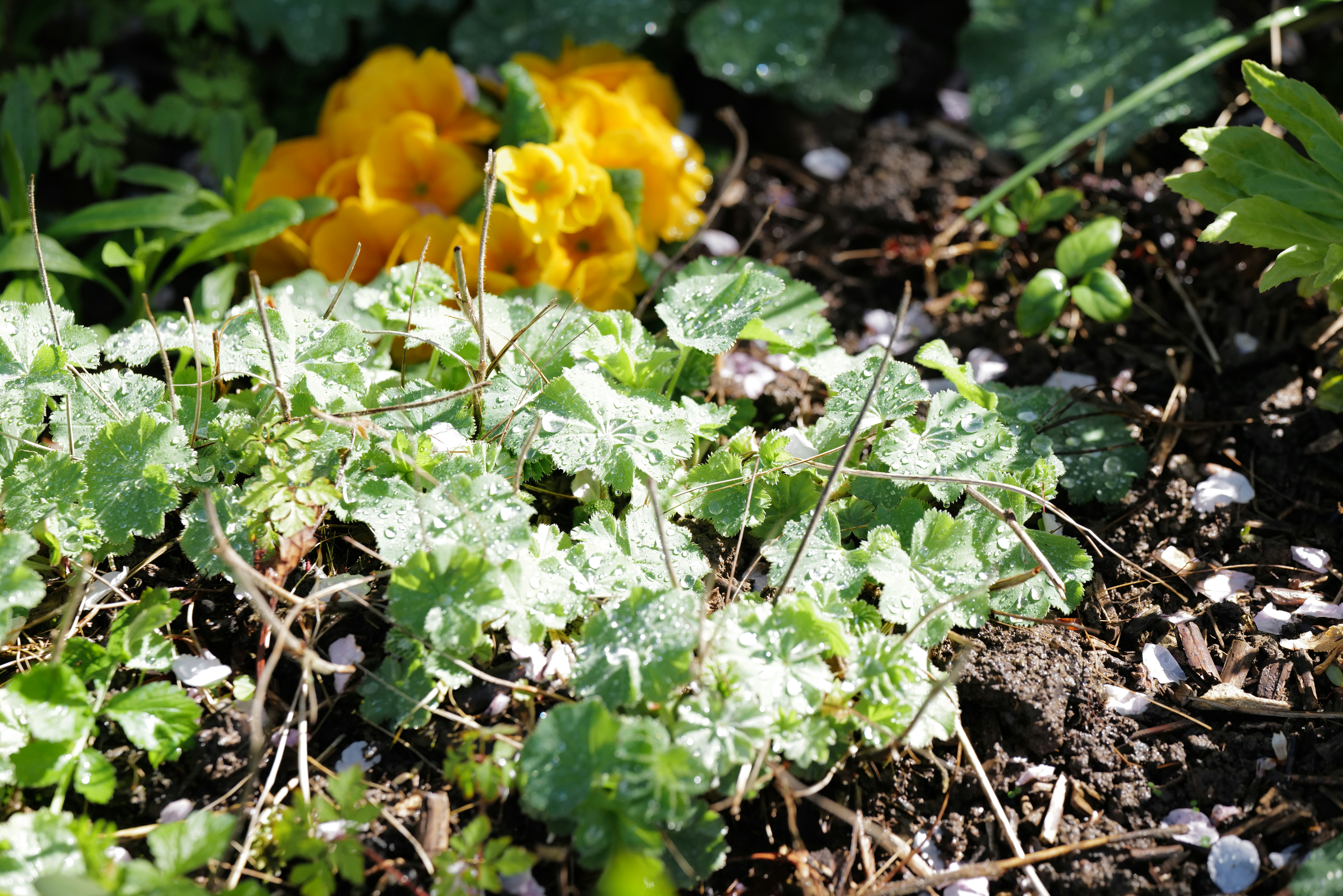 Photo by georgeiermann