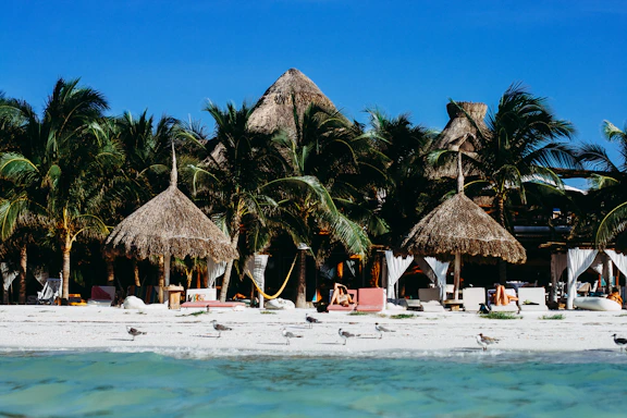 people on beach near brown nipa hut during daytime