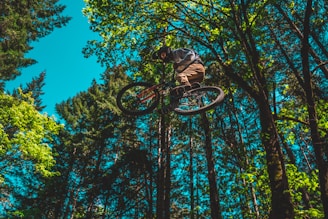 A person performs an aerial stunt on a bicycle amidst a dense forest with tall trees reaching into the blue sky. The rider wears a helmet and is dressed in casual, sturdy clothing suitable for biking through rugged terrain. Sunlight filters through the foliage, casting patterns of light and shadow.