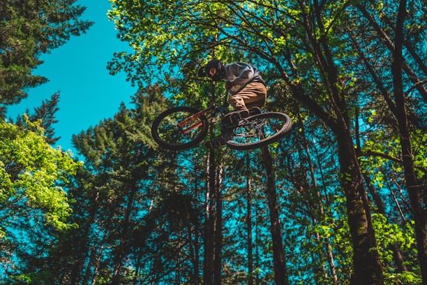 A person performs an aerial stunt on a bicycle amidst a dense forest with tall trees reaching into the blue sky. The rider wears a helmet and is dressed in casual, sturdy clothing suitable for biking through rugged terrain. Sunlight filters through the foliage, casting patterns of light and shadow.