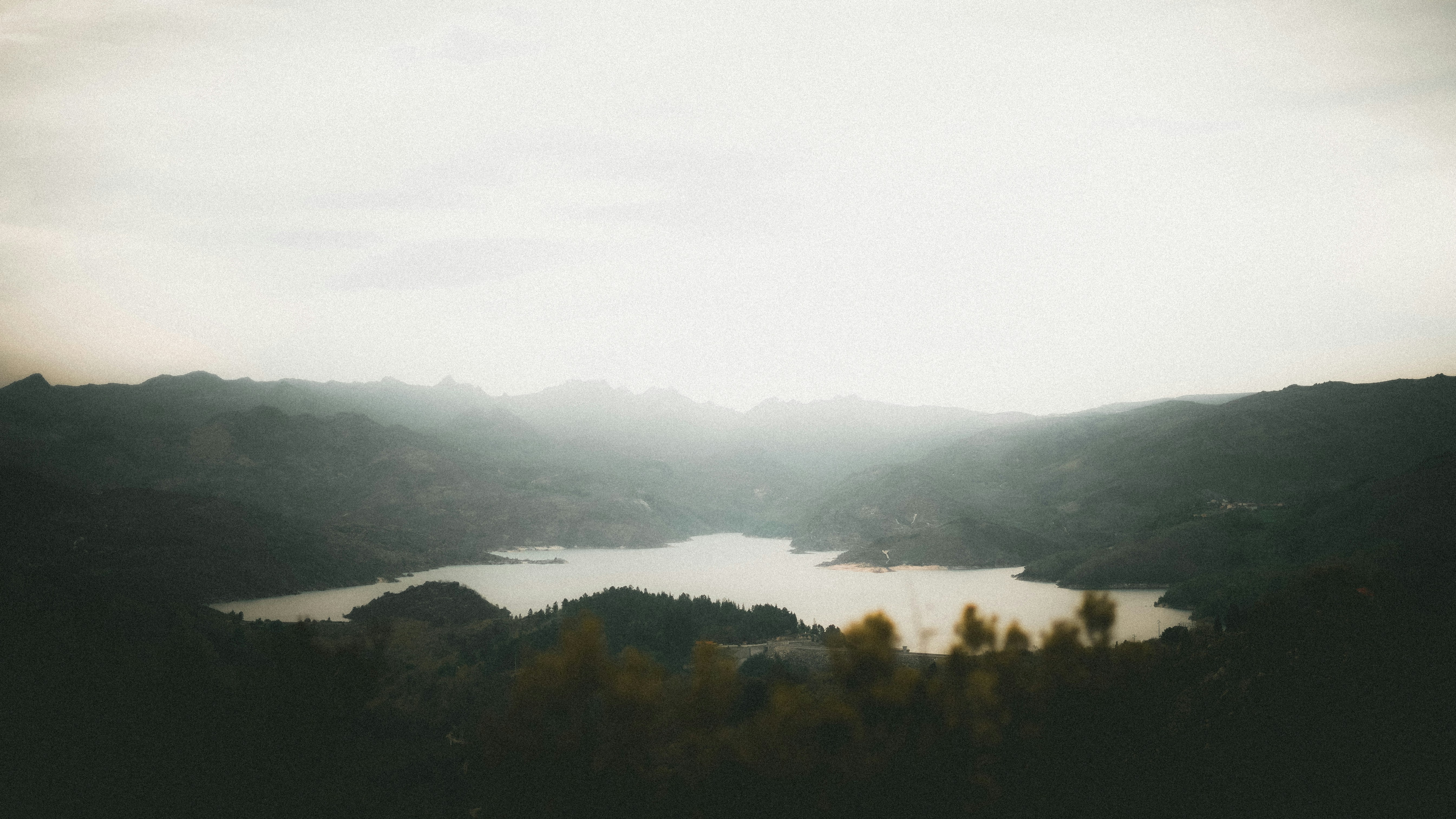 Make More Income Working Not Professional From Home