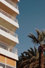 white concrete building near palm tree under blue sky during daytime
