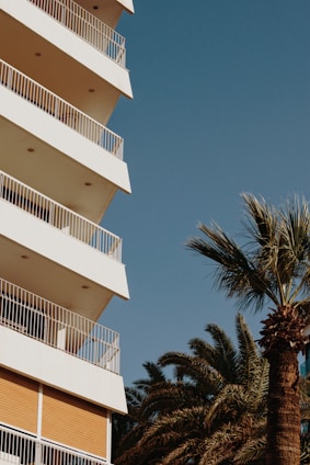 white concrete building near palm tree under blue sky during daytime
