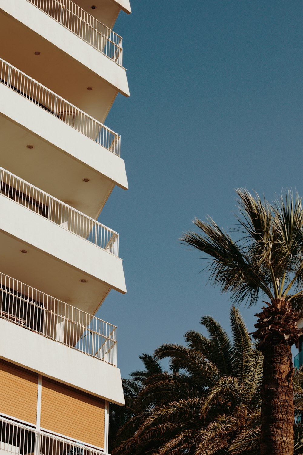 edificio in cemento bianco vicino alla palma sotto il cielo blu durante il giorno