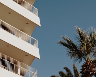 white concrete building near palm tree under blue sky during daytime