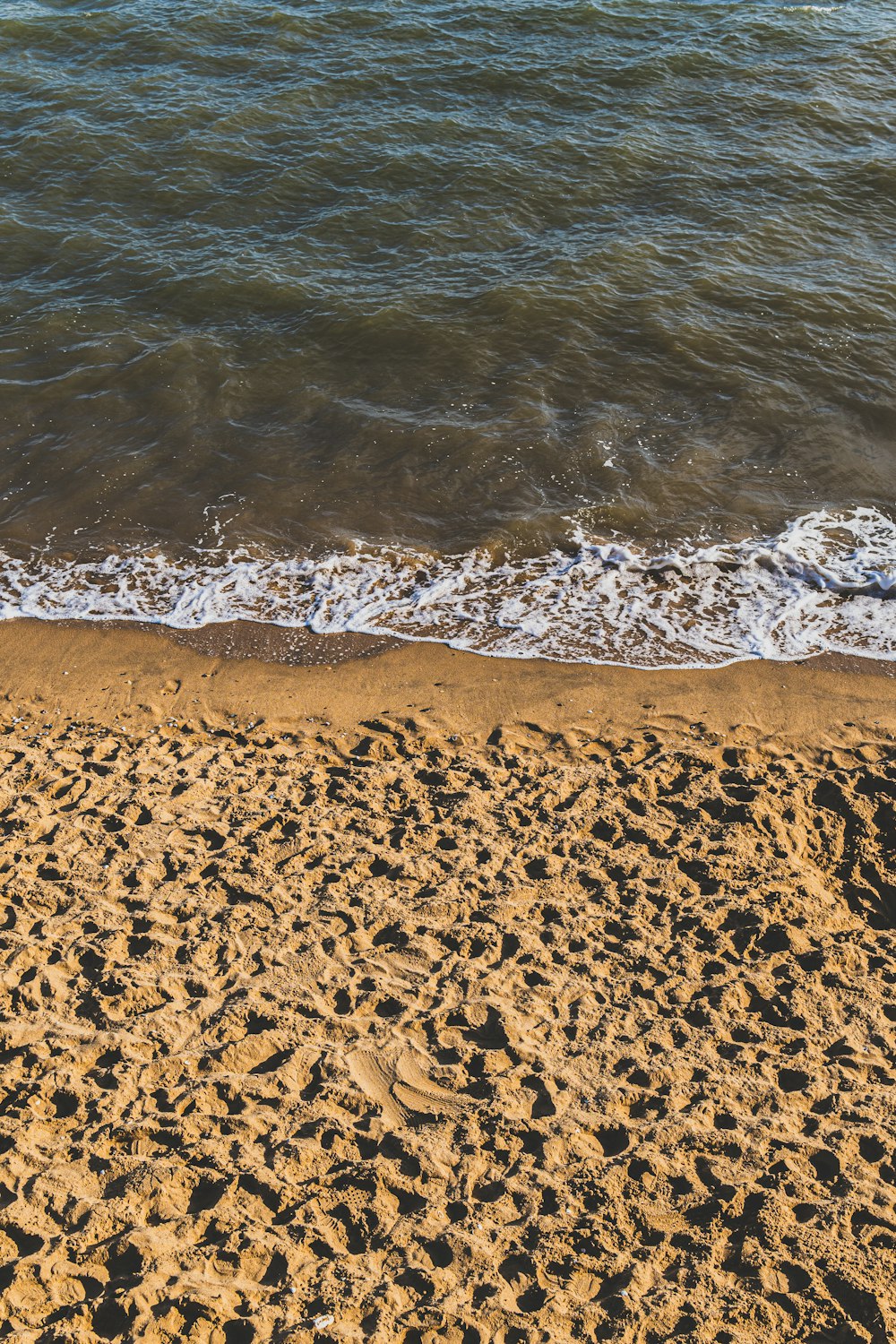 brown sand near body of water during daytime