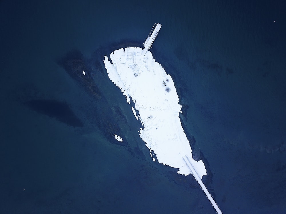 black and white ship on blue water