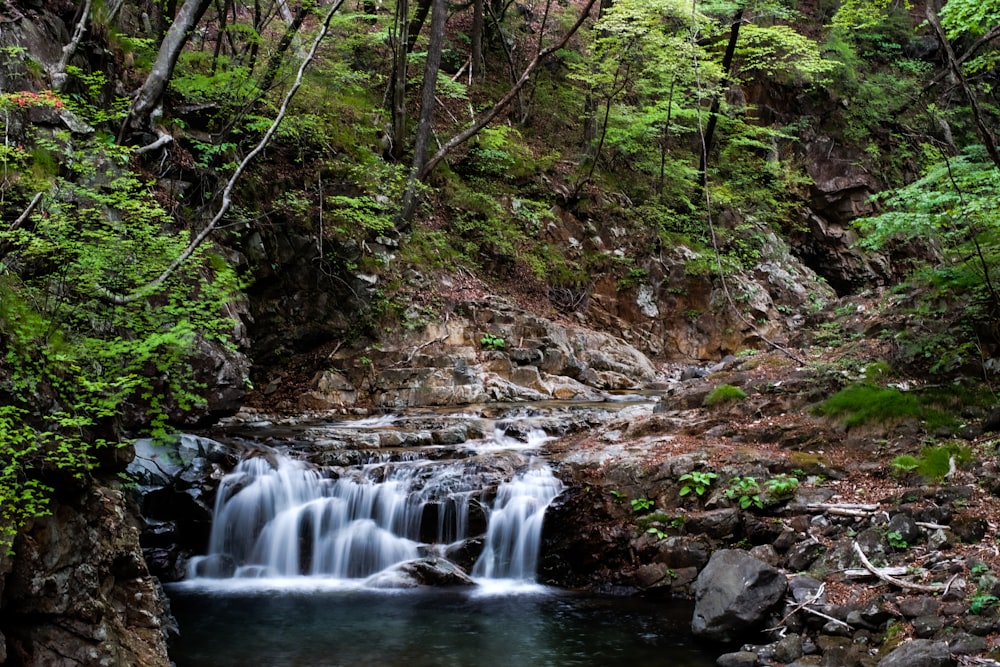 water falls in the forest