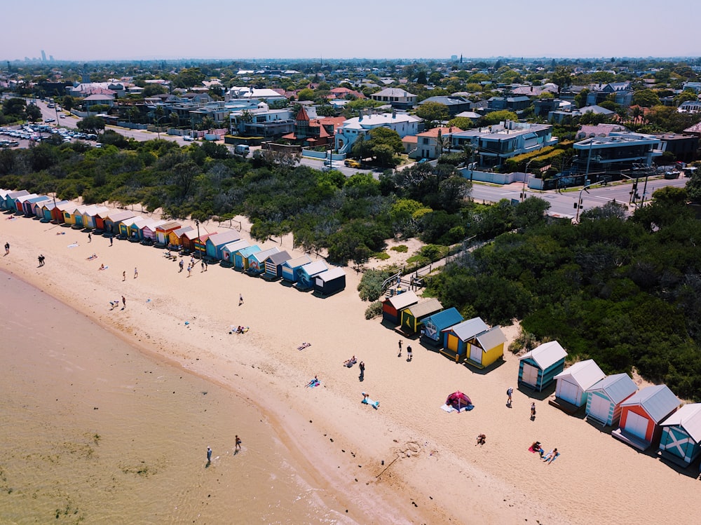 pessoas na praia durante o dia