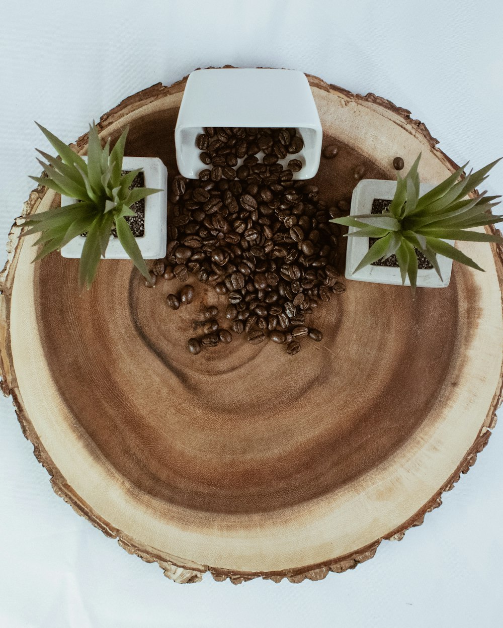 brown round plate with green plant