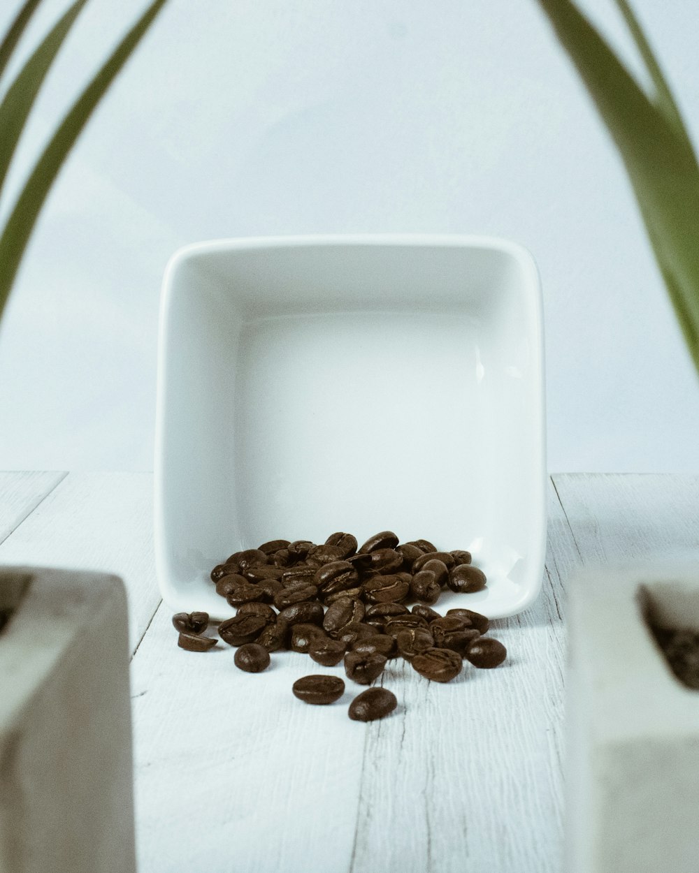 brown coffee beans on white ceramic plate