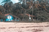A small, bright blue beach house with a terracotta roof is nestled among tall palm trees and dense foliage. The house has white window shutters and a porch with two lounge chairs. In the foreground, there's a sandy beach with scattered leaves and a wooden fence separating the yard from the beach.