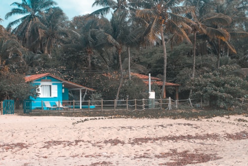 A small, bright blue beach house with a terracotta roof is nestled among tall palm trees and dense foliage. The house has white window shutters and a porch with two lounge chairs. In the foreground, there's a sandy beach with scattered leaves and a wooden fence separating the yard from the beach.