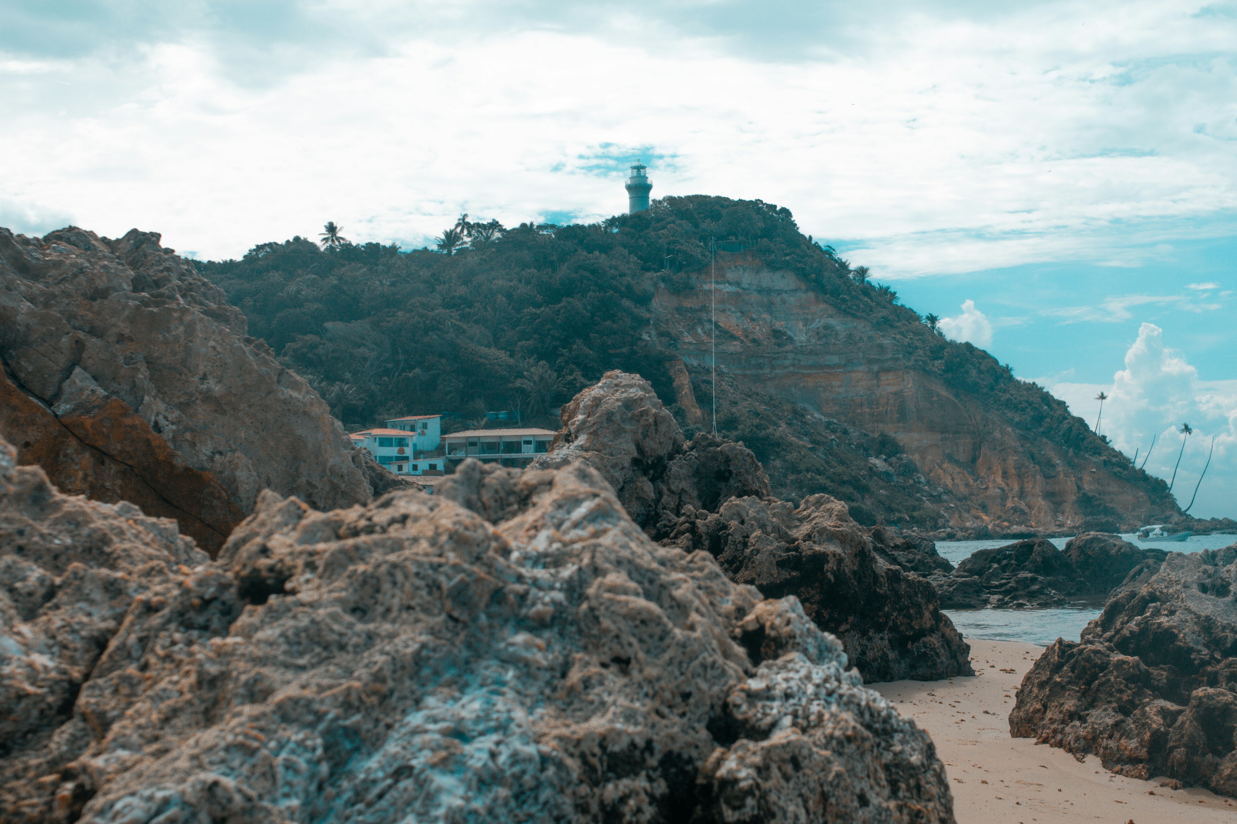 Photo by youwwwill