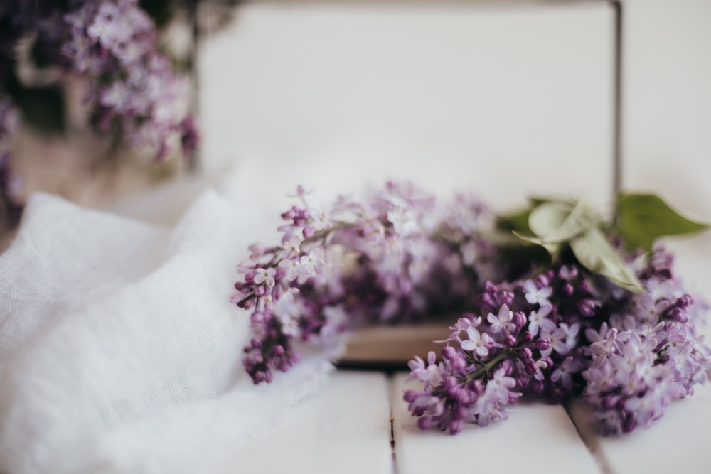 purple flowers on white table