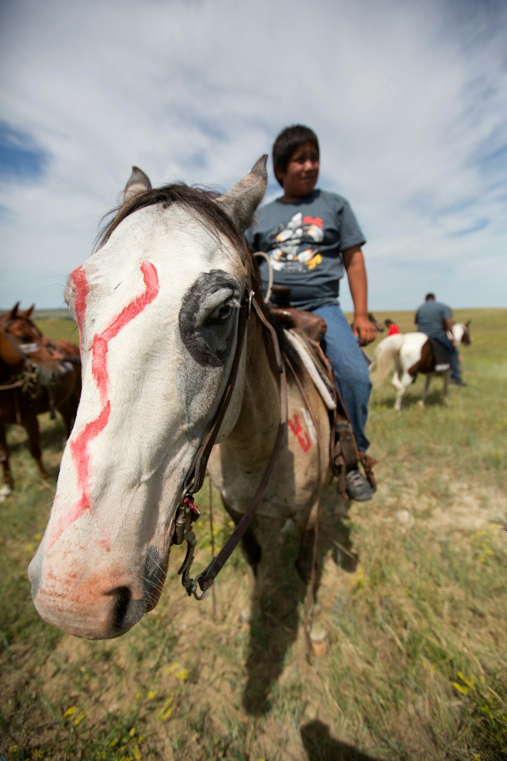 Homme en T-shirt bleu chevauchant un cheval blanc pendant la journée