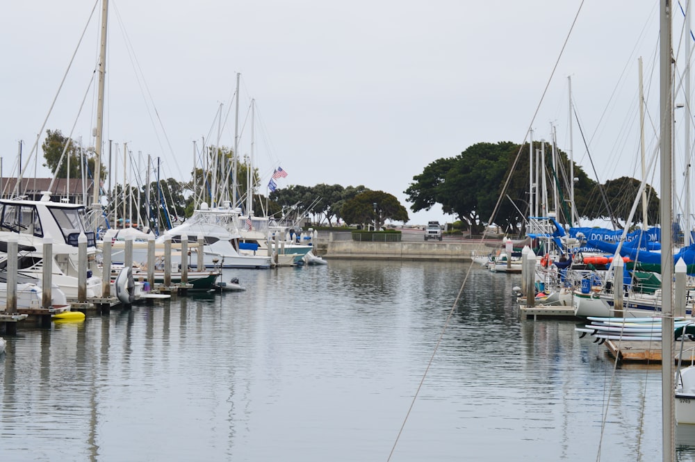 white and blue boat on dock during daytime