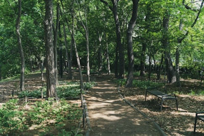 A peaceful resting place with shaded benches for visitors to reflect comfortably.