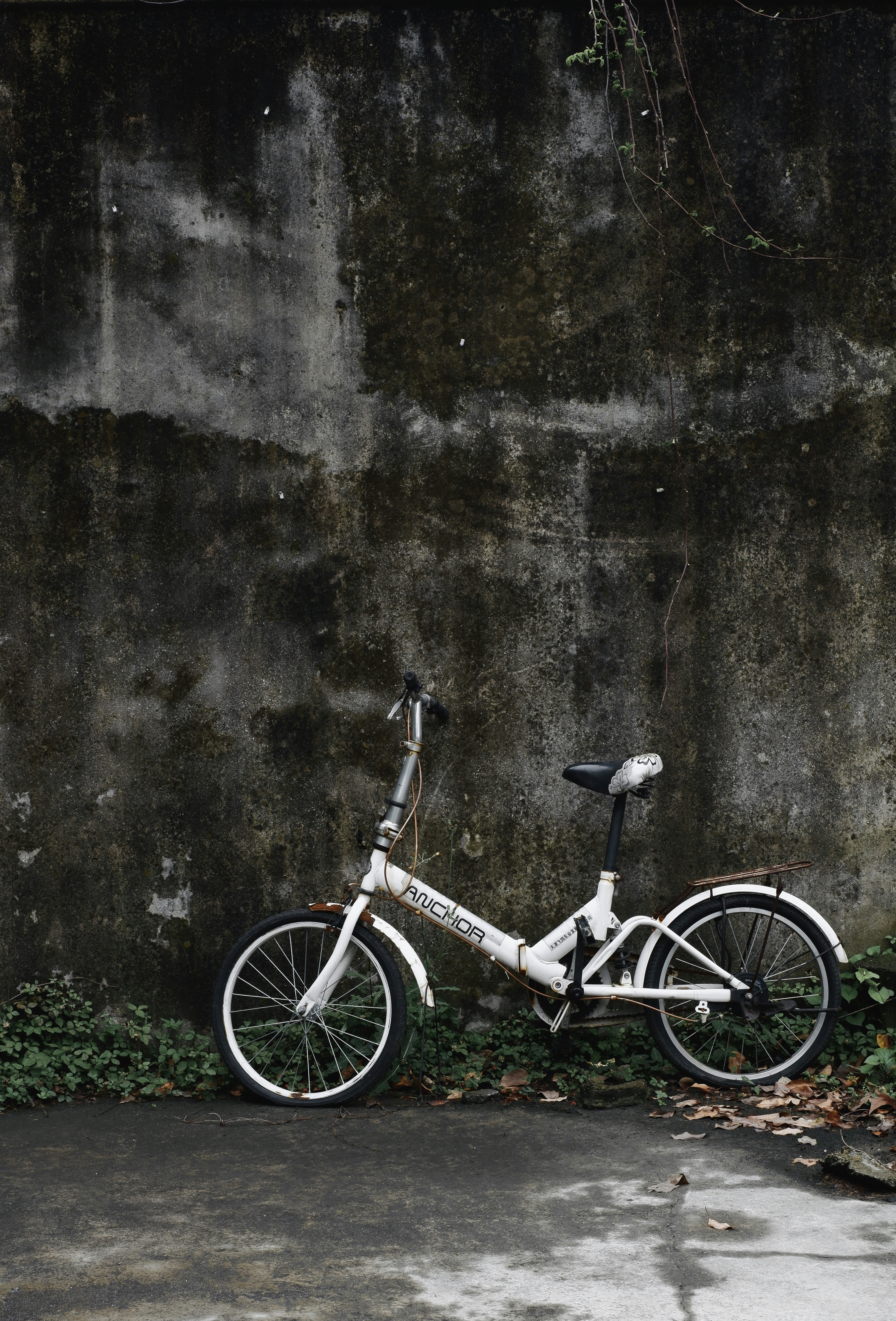 Photo by sunriseking