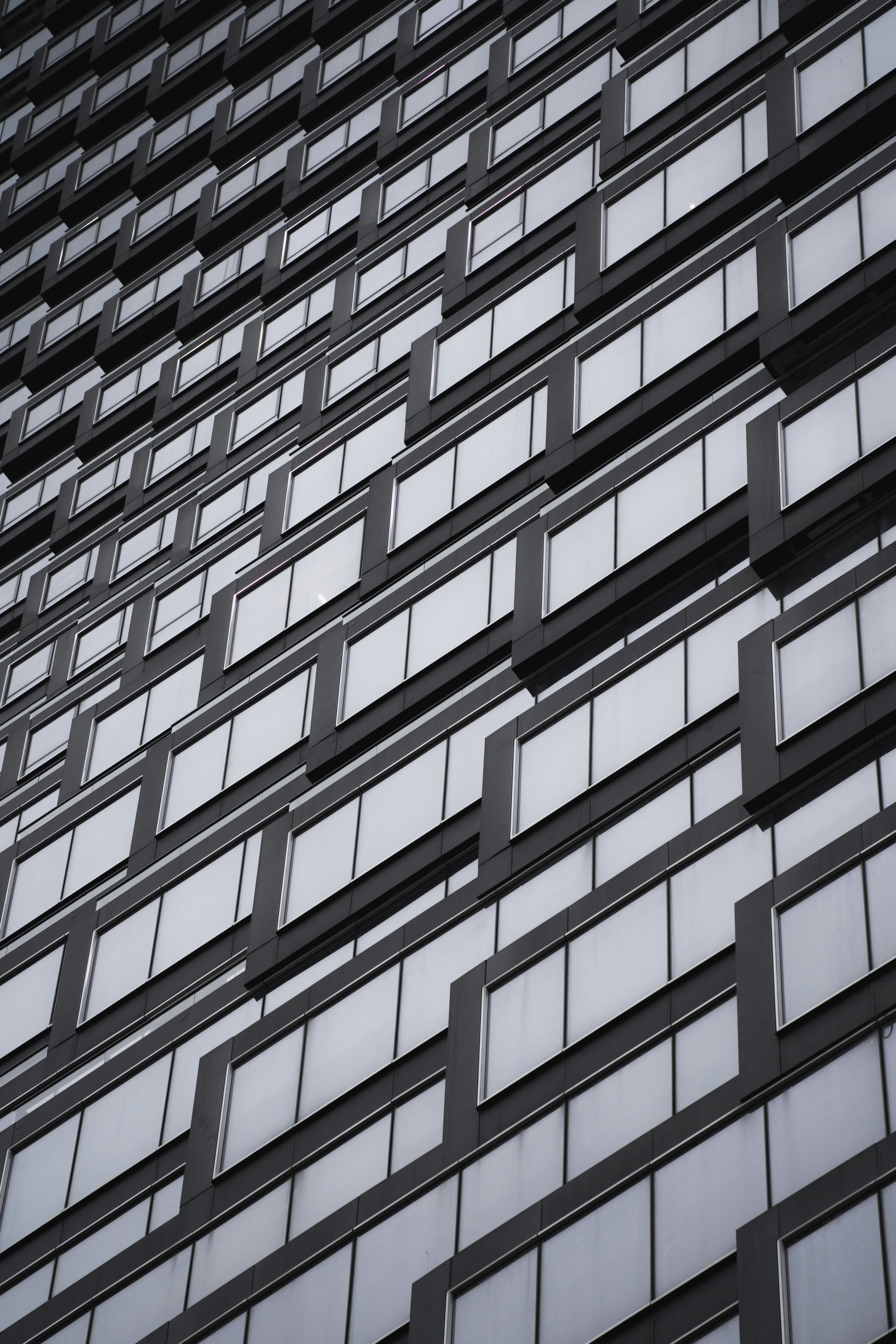 Photo by igor_and_teti