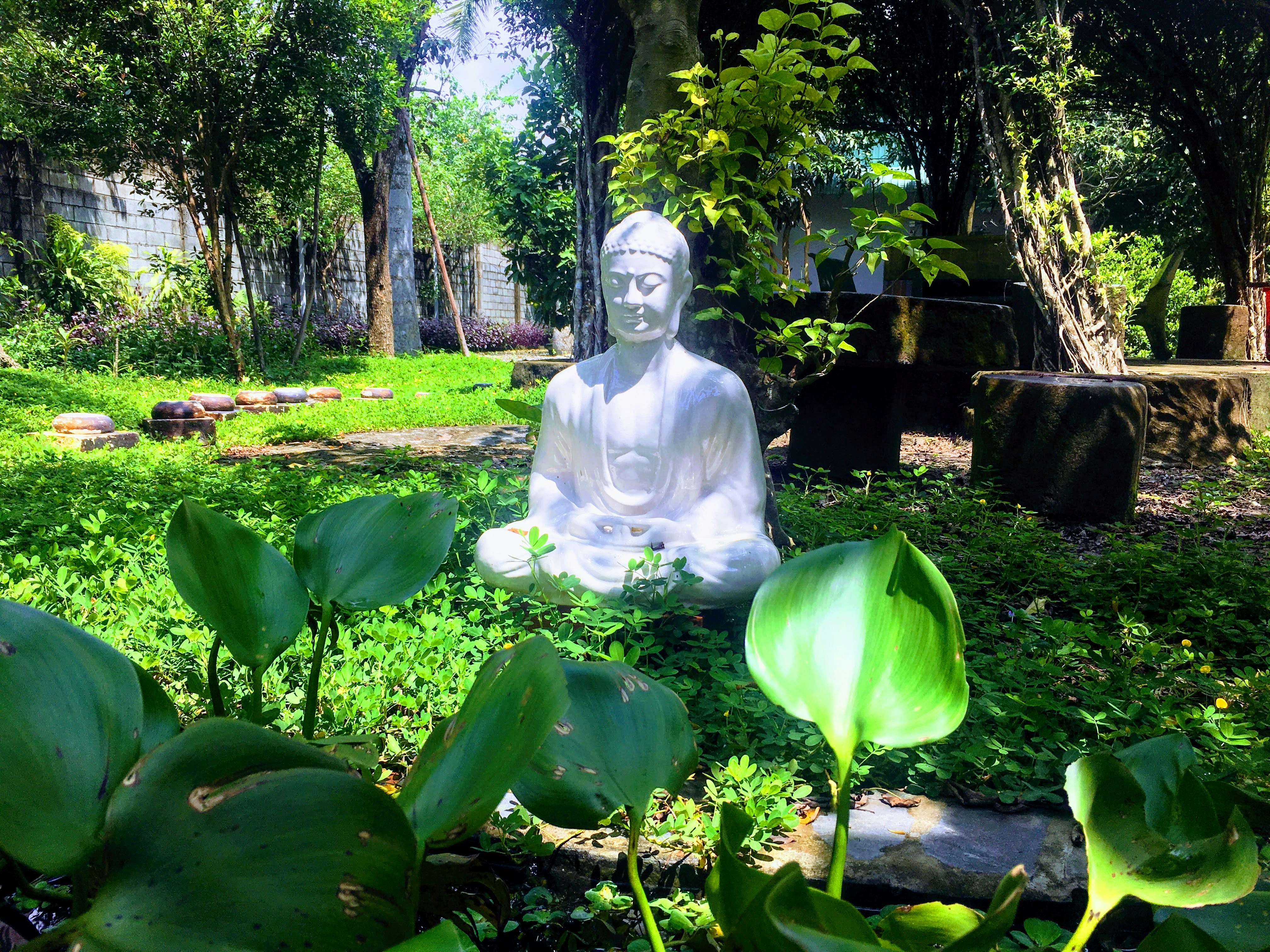 White Buddha statue meditating in a green garden.