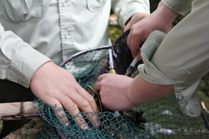 Two people with light-colored shirts are interacting with a fish over a net, possibly conducting some form of survey or research on the fish using tools such as a syringe.