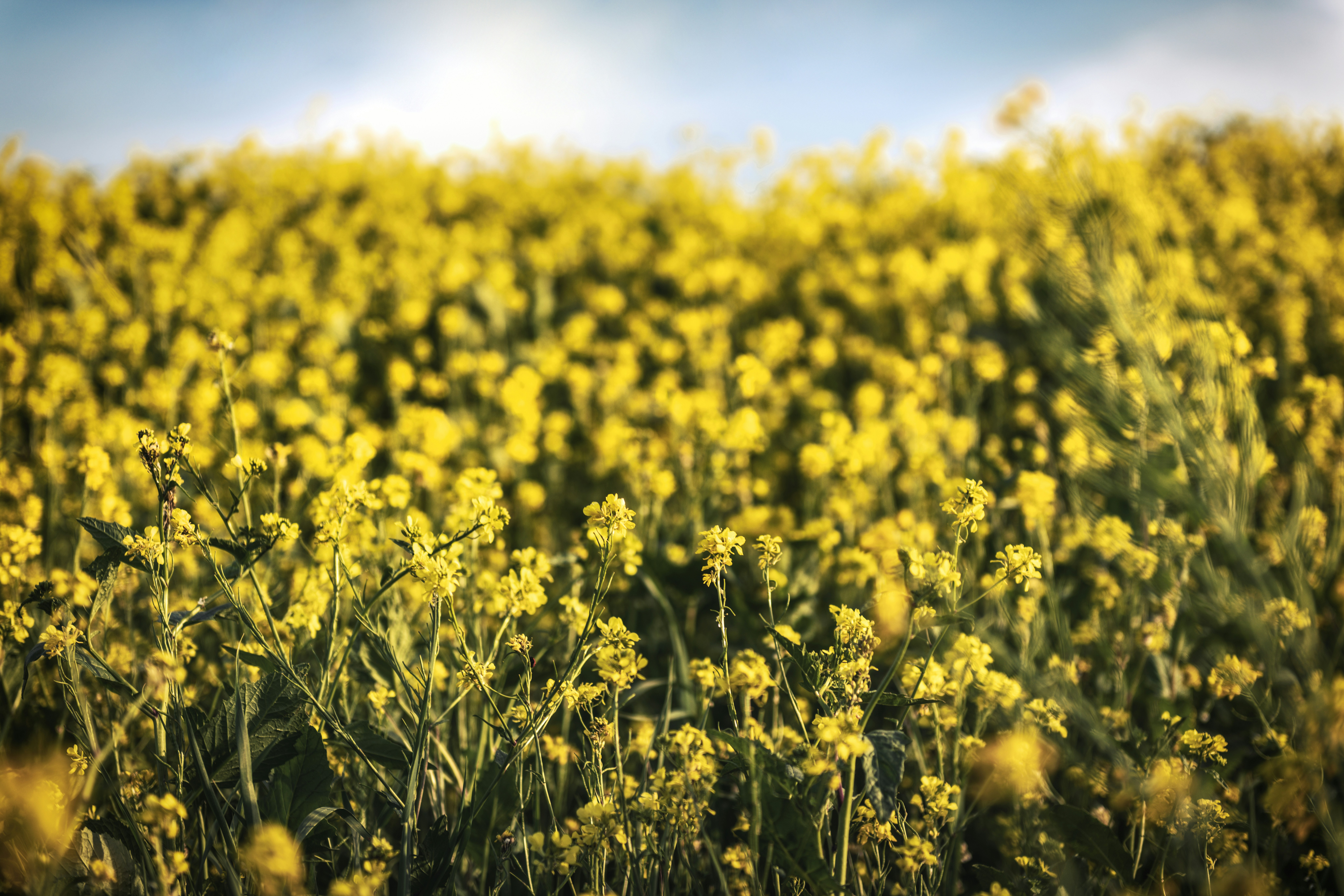 Photo by timmossholder