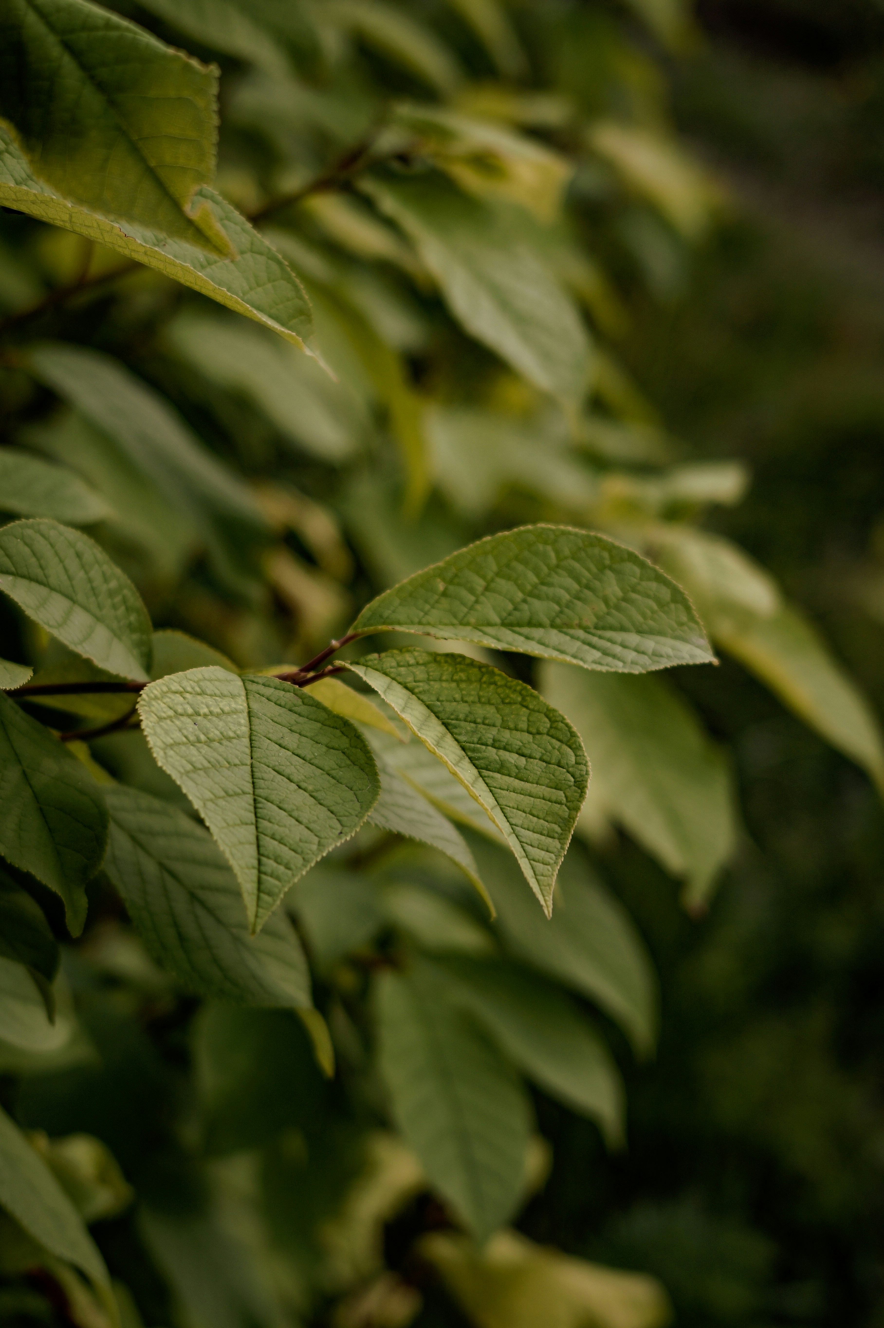 Photo by valentine_ivanova