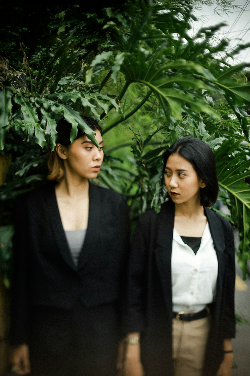 woman in black blazer standing beside green plant