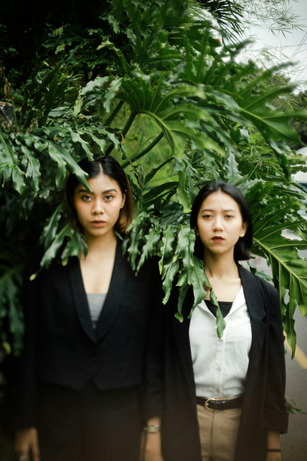 woman in black blazer standing beside green plant