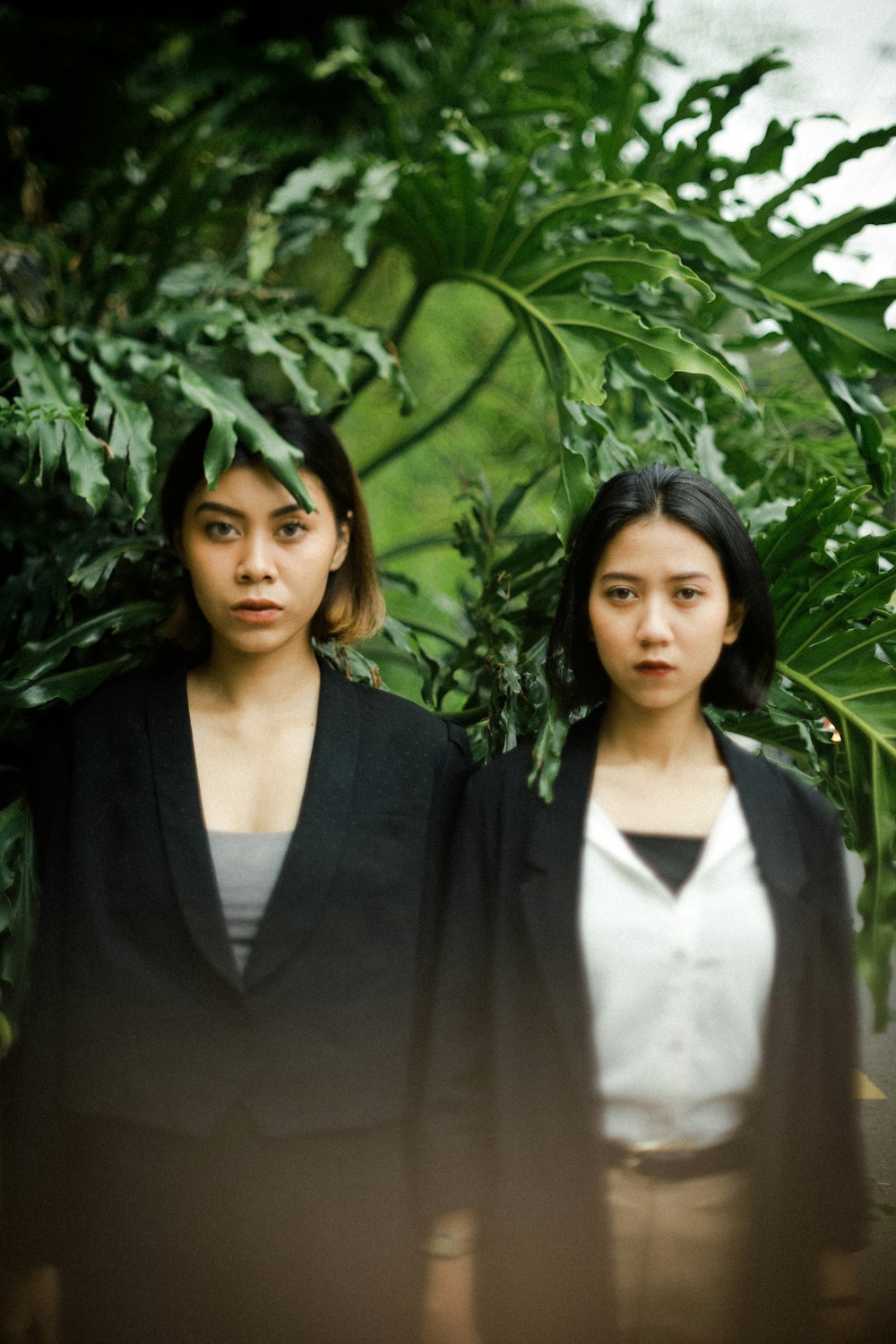 woman in white v neck shirt and black blazer standing beside green plant