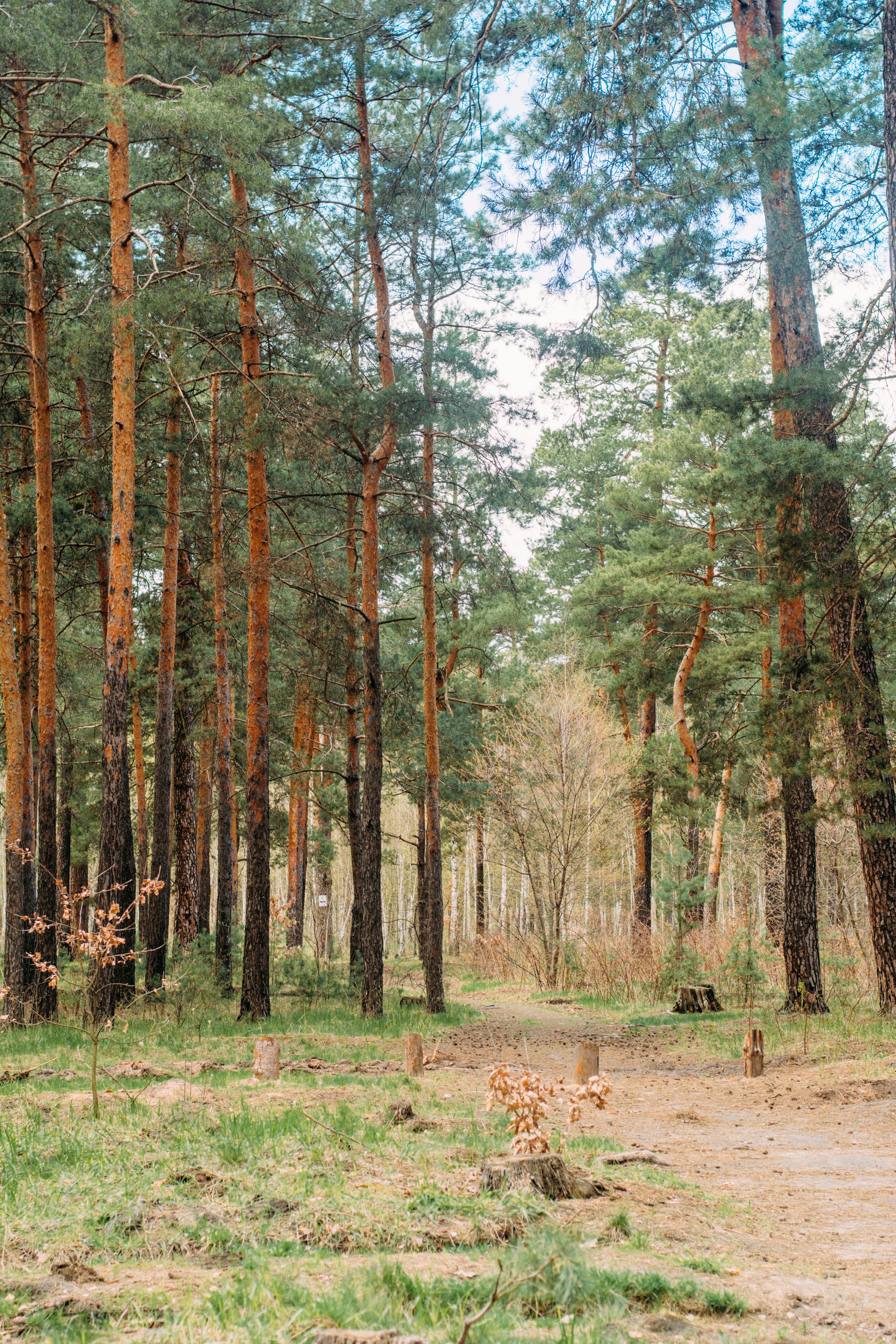 Photo by eugenivy_now