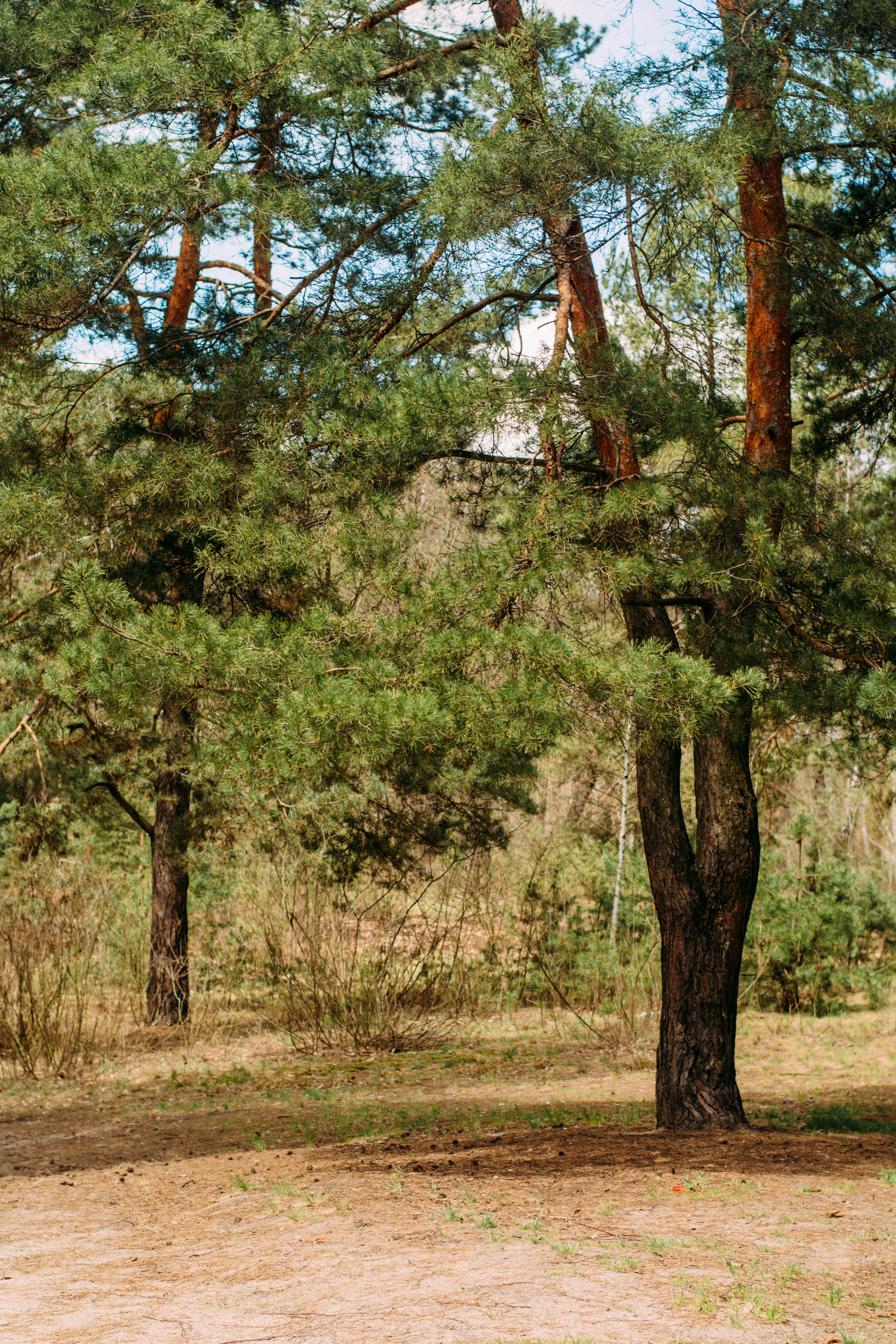 Photo by eugenivy_now