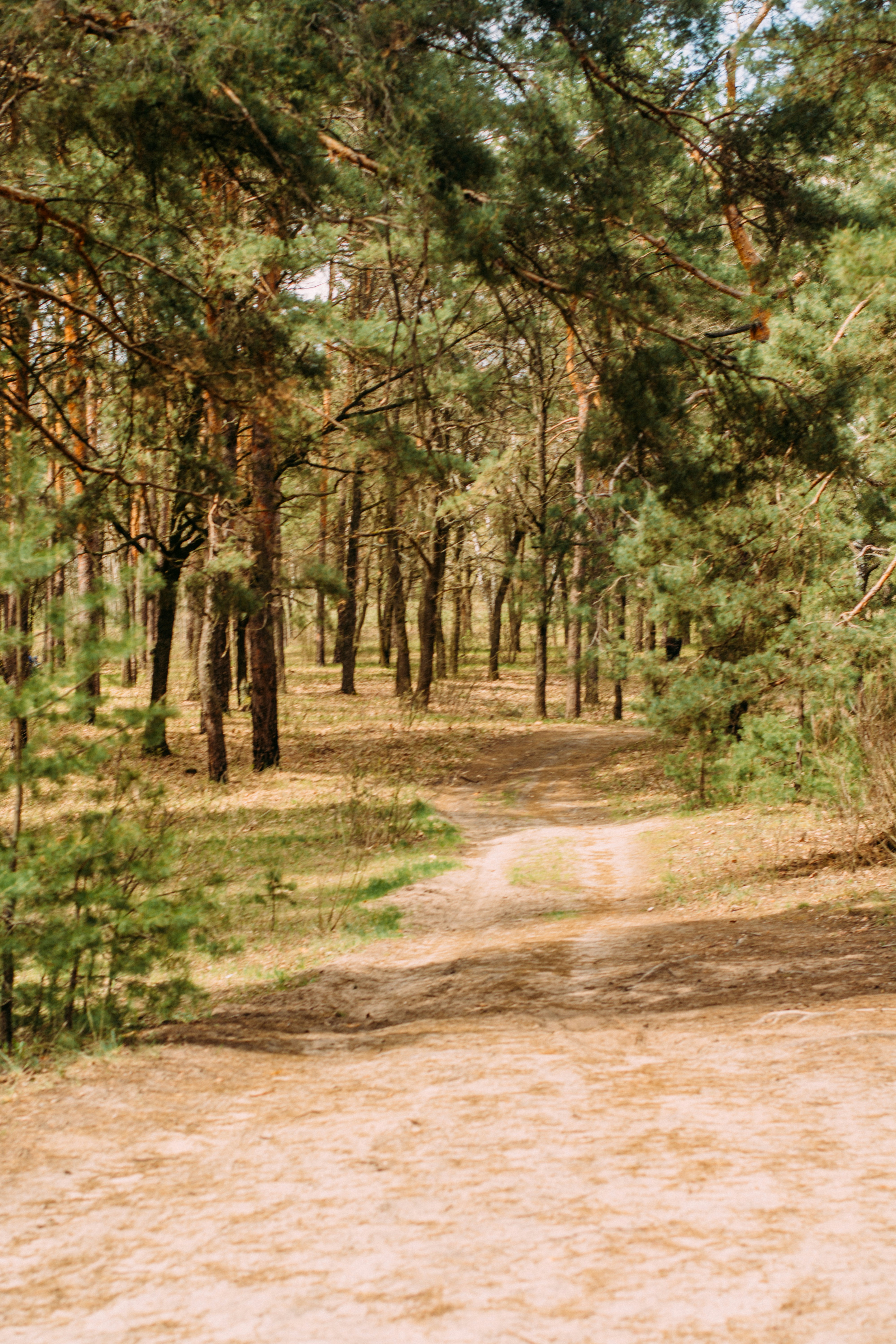 Photo by eugenivy_now