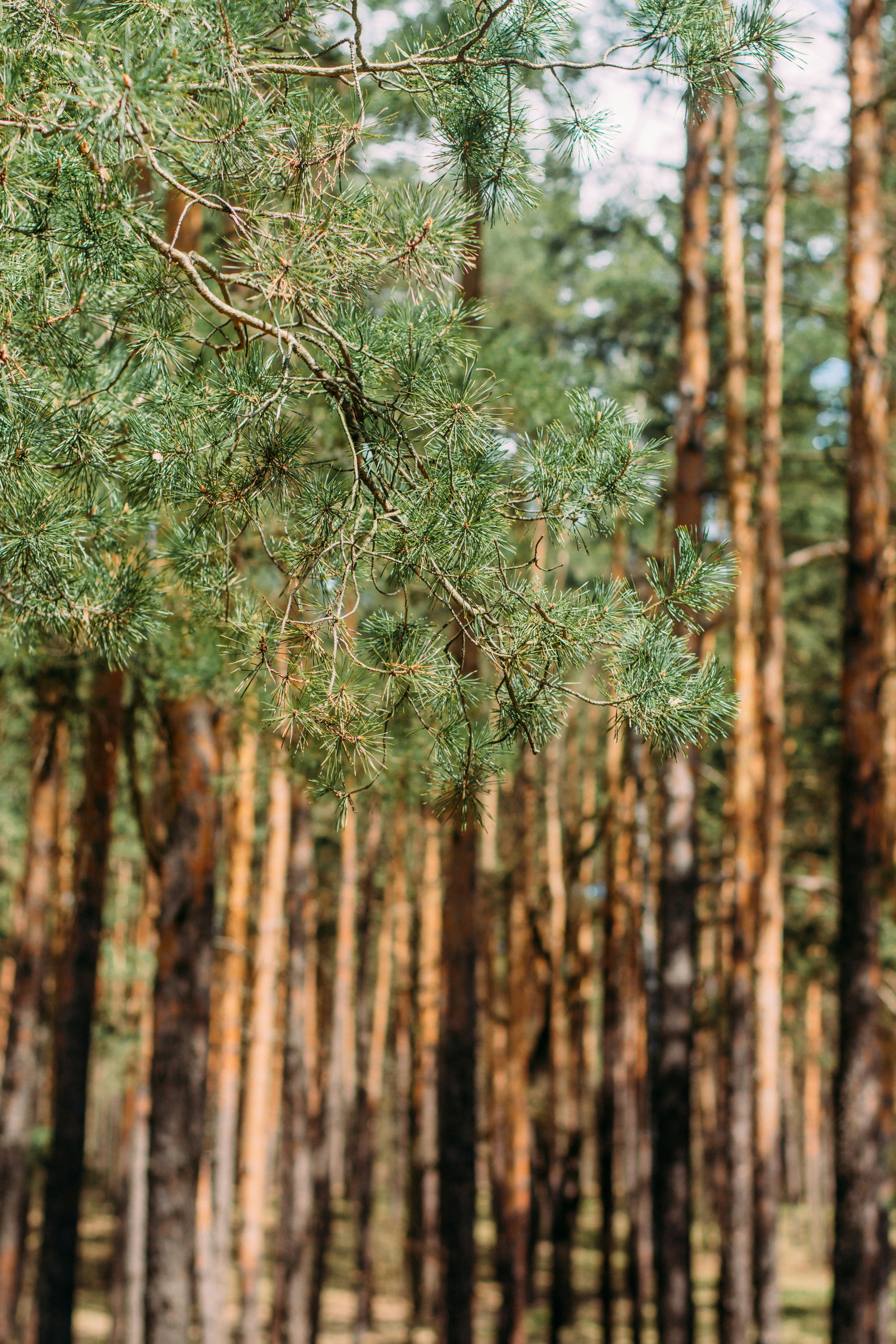 Photo by eugenivy_now