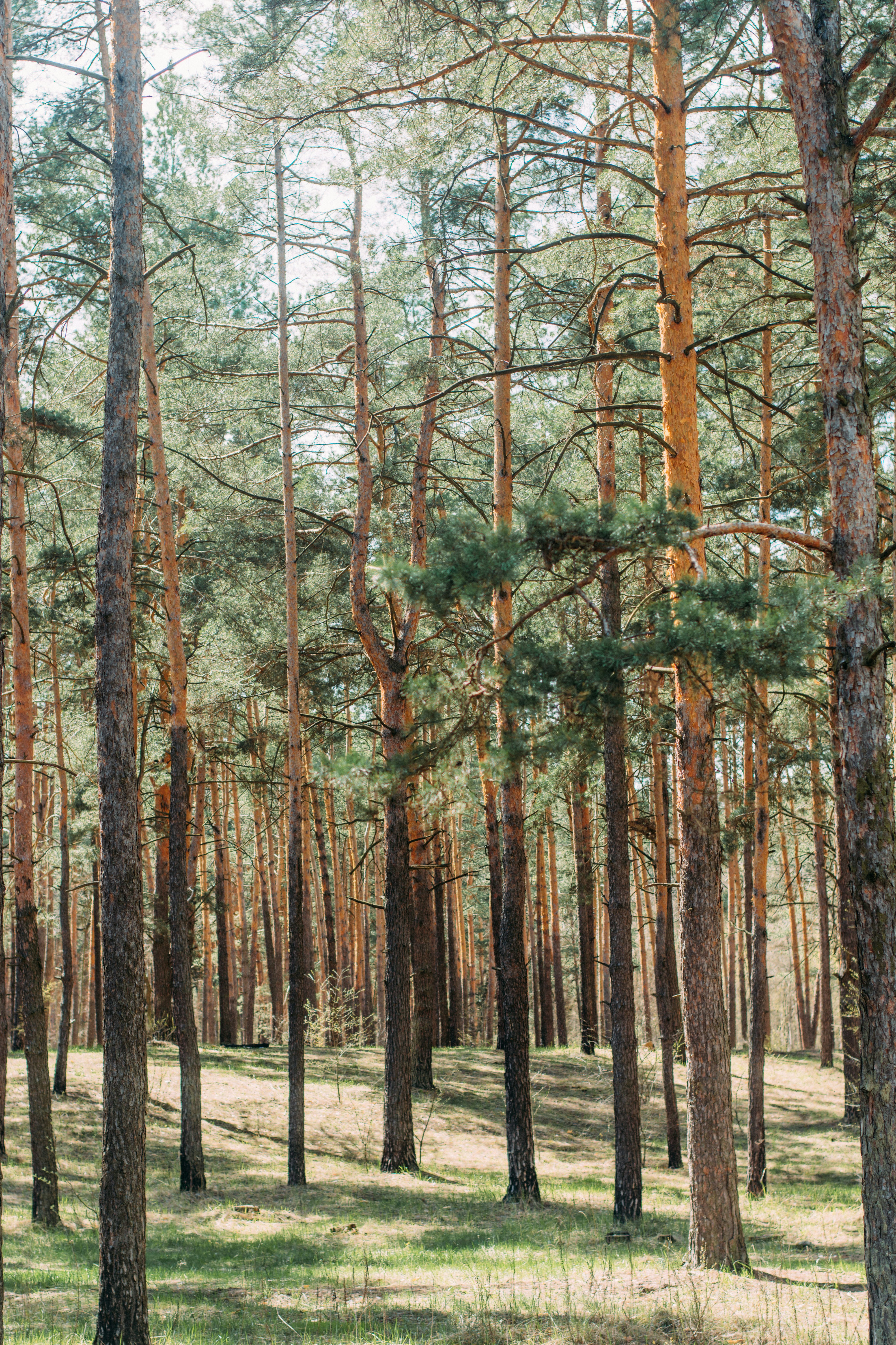 Photo by eugenivy_now