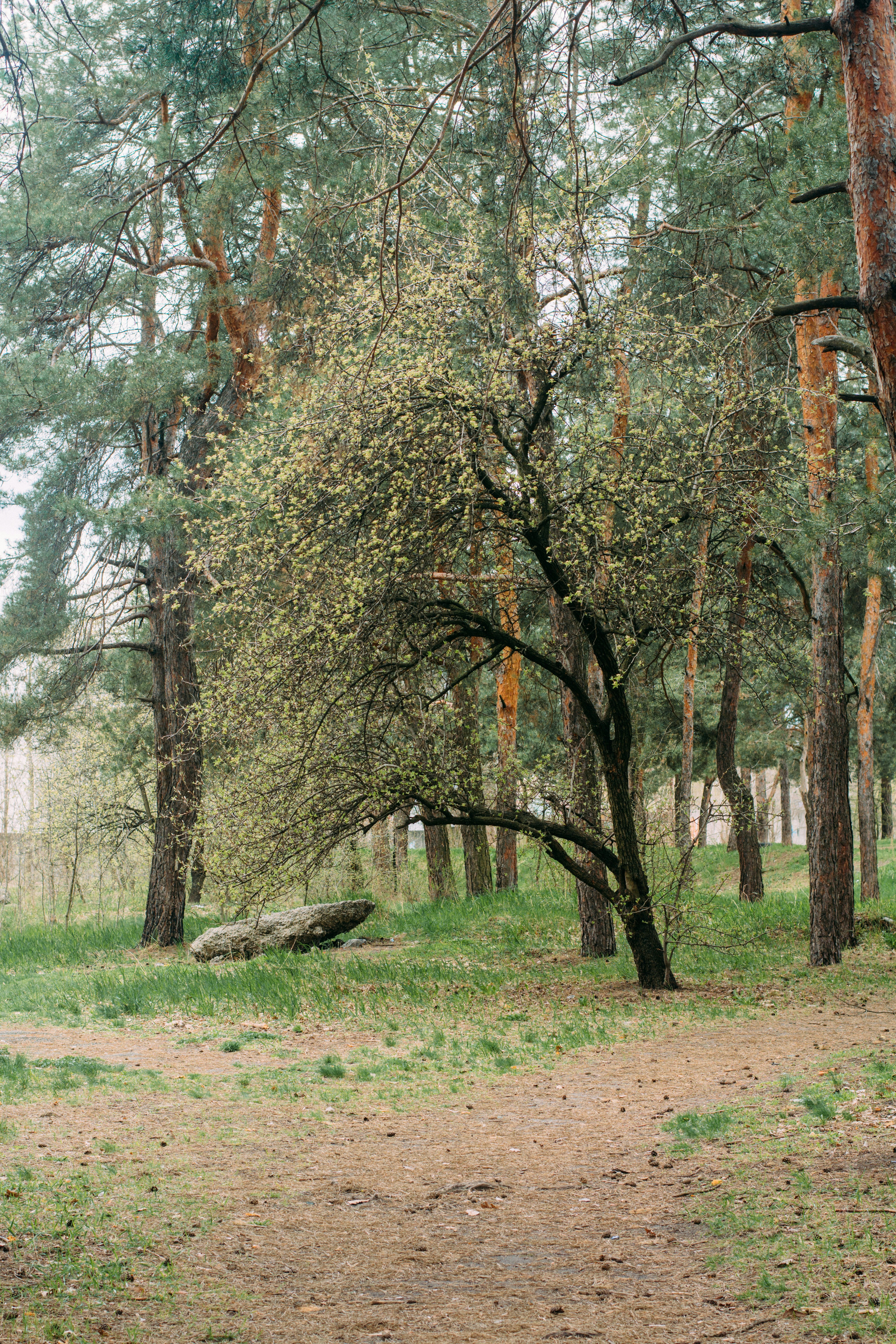 Photo by eugenivy_now