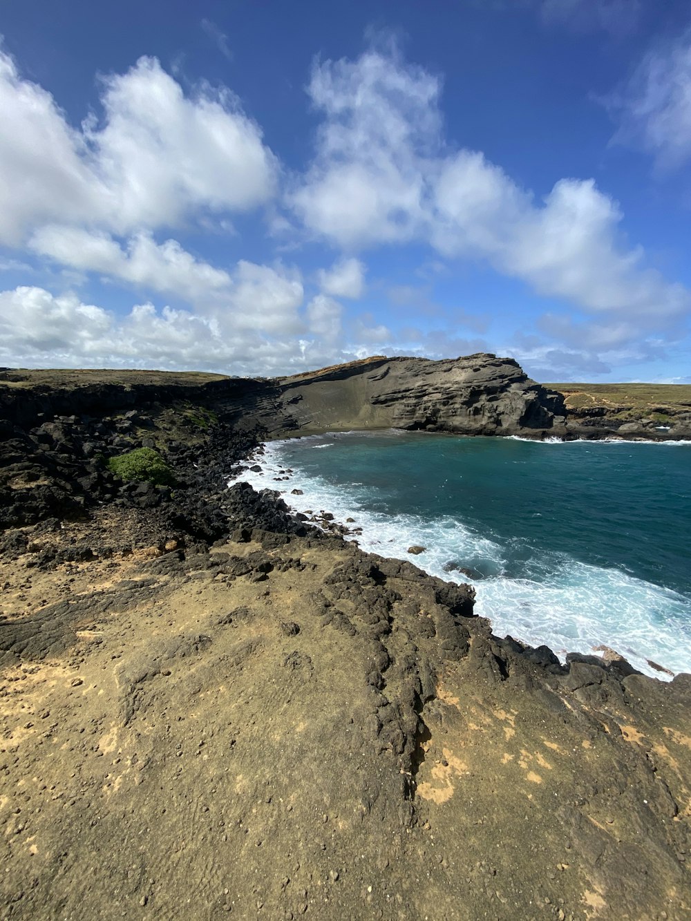 green trees on brown rocky shore during daytime