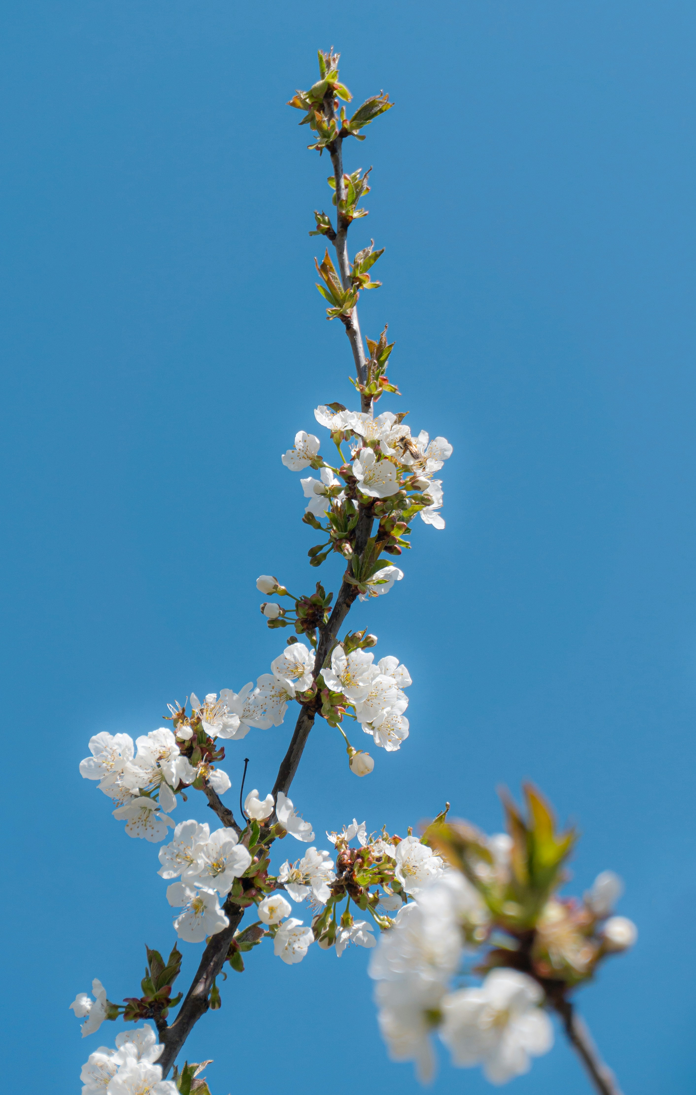 Photo by leonardo_64