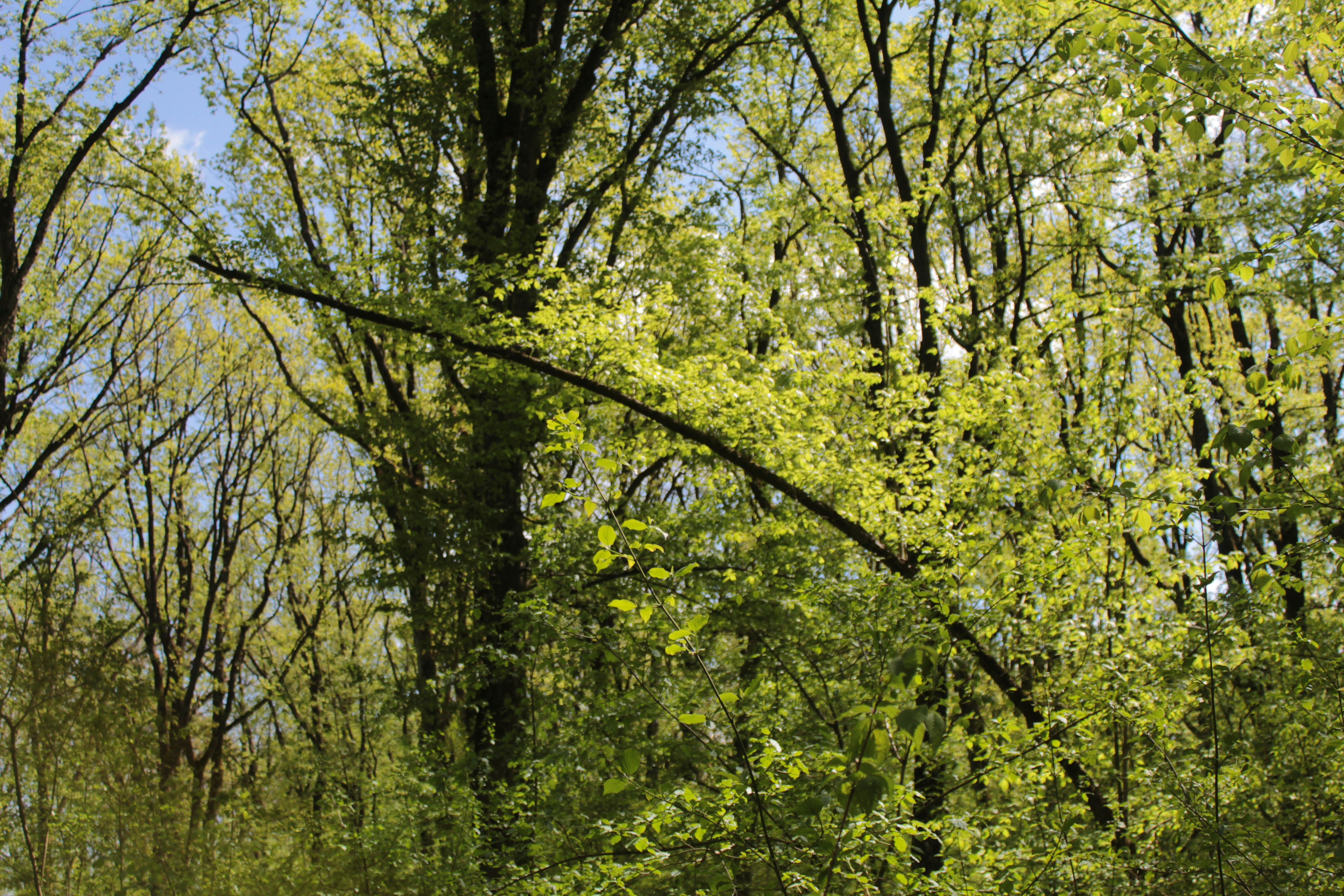 Photo by photobyiuliaiova