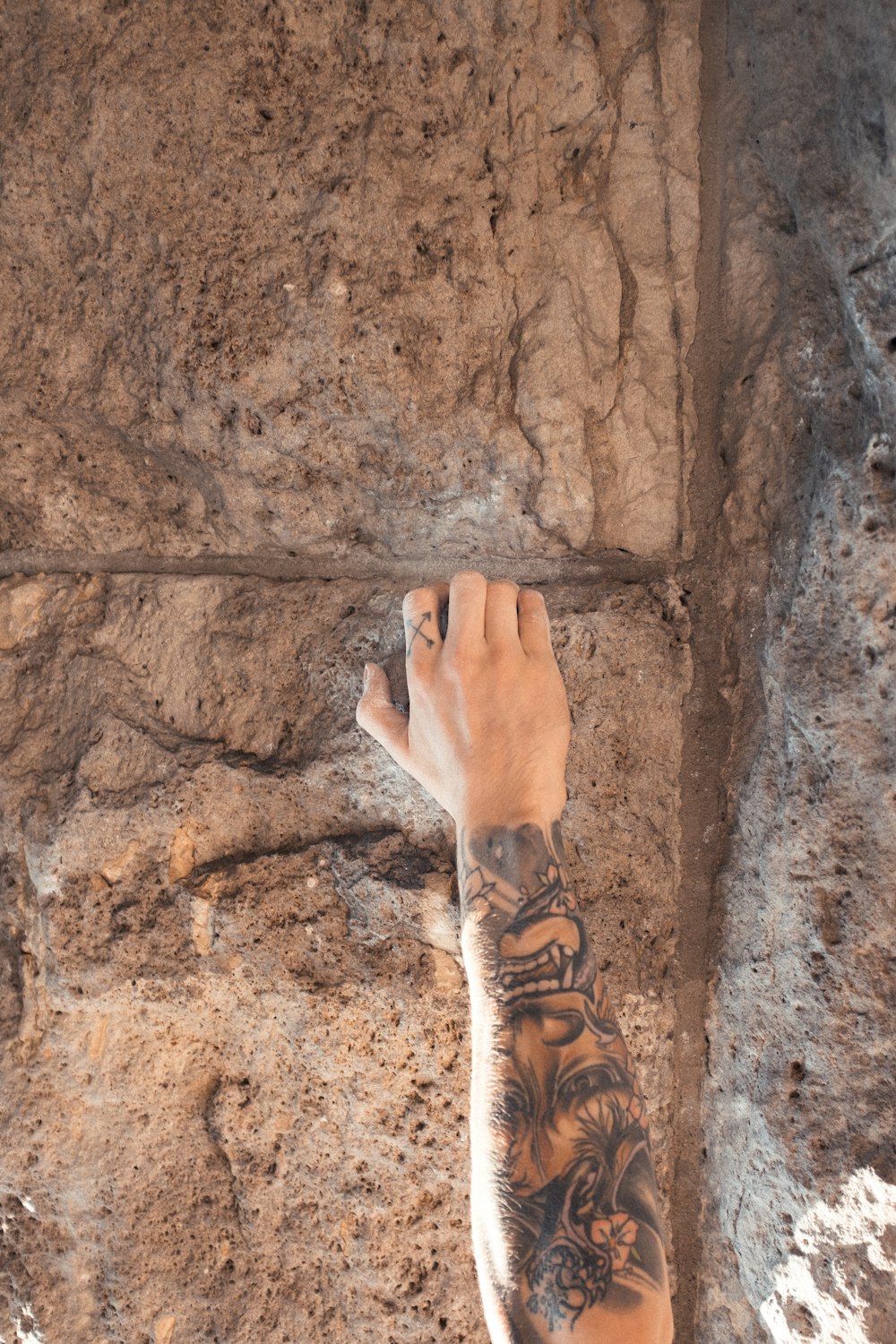 persons hand on brown rock