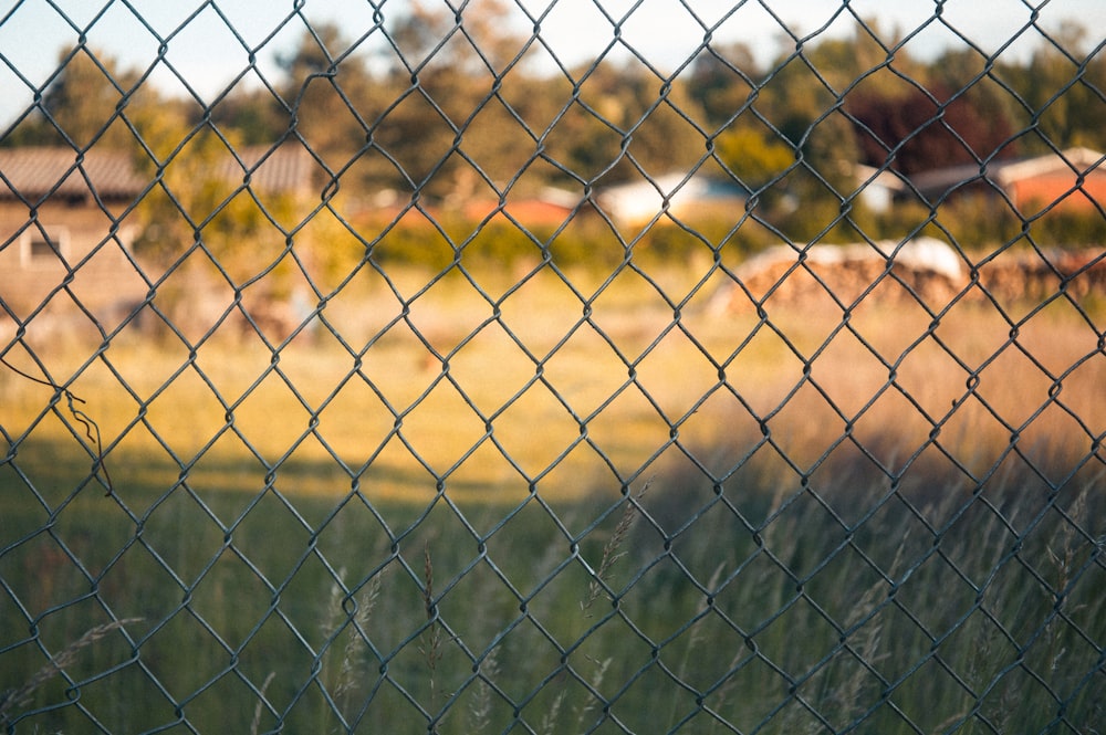 green metal fence near brown field during daytime