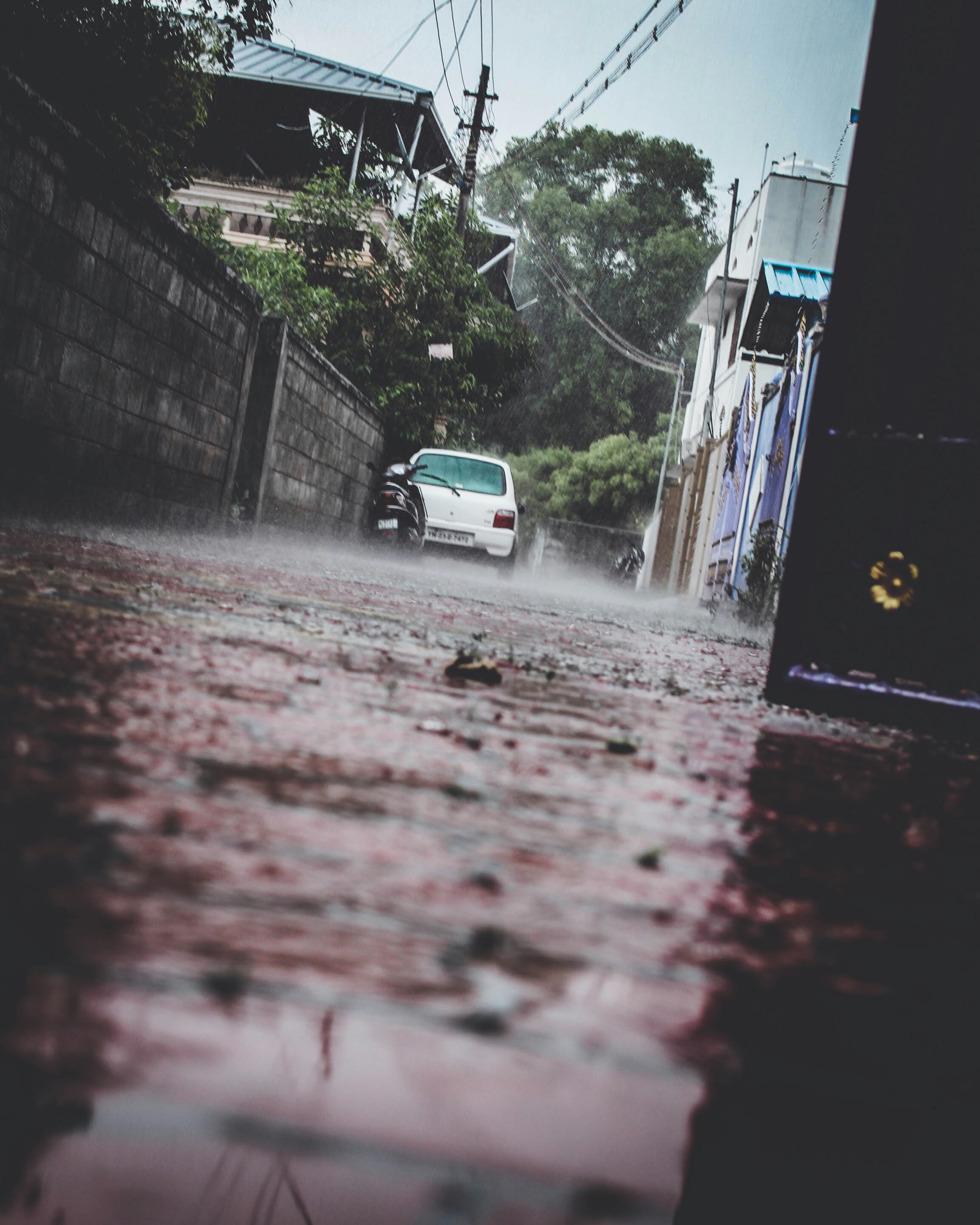 white car on road during daytime