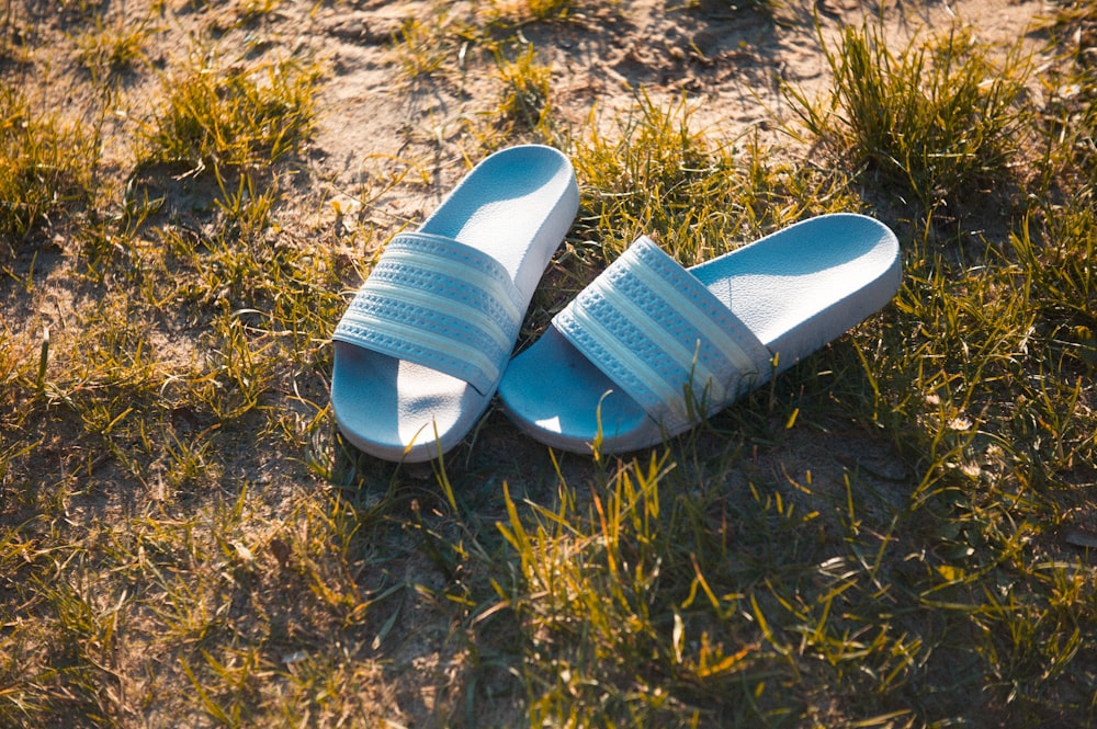 blue and white slide sandals on brown grass