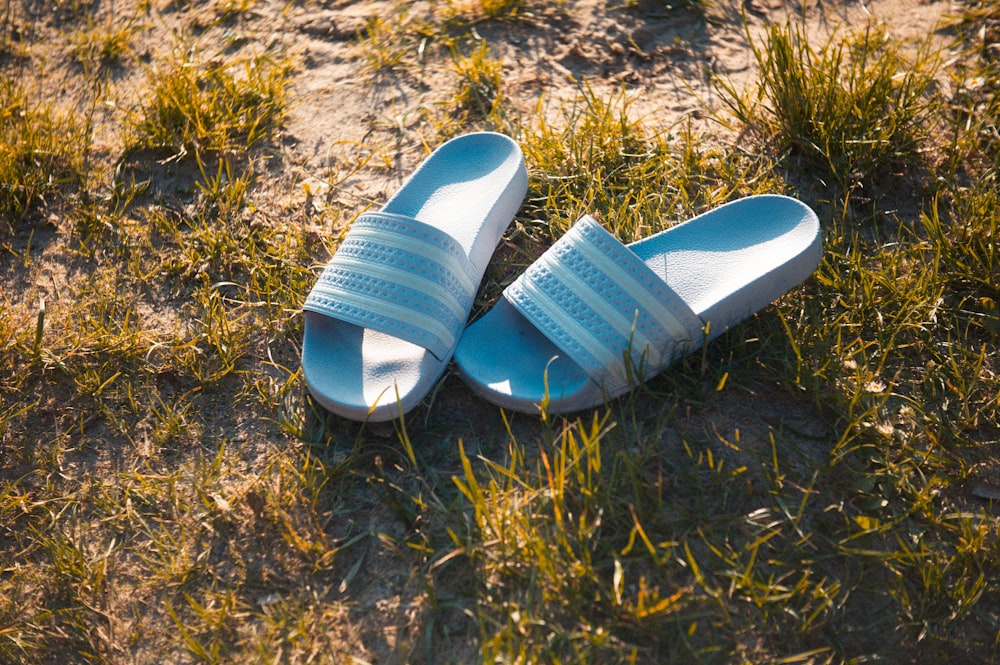 Sandalias chanclas azules y blancas sobre hierba marrón