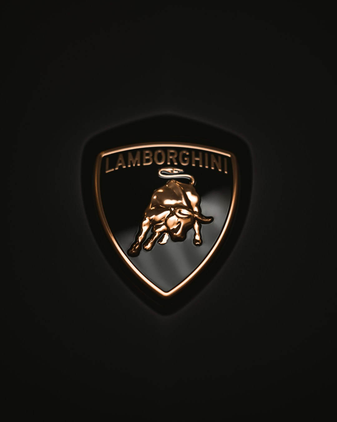 The Lamborghini Aventador is a sleek and powerful supercar that exudes both style and performance.