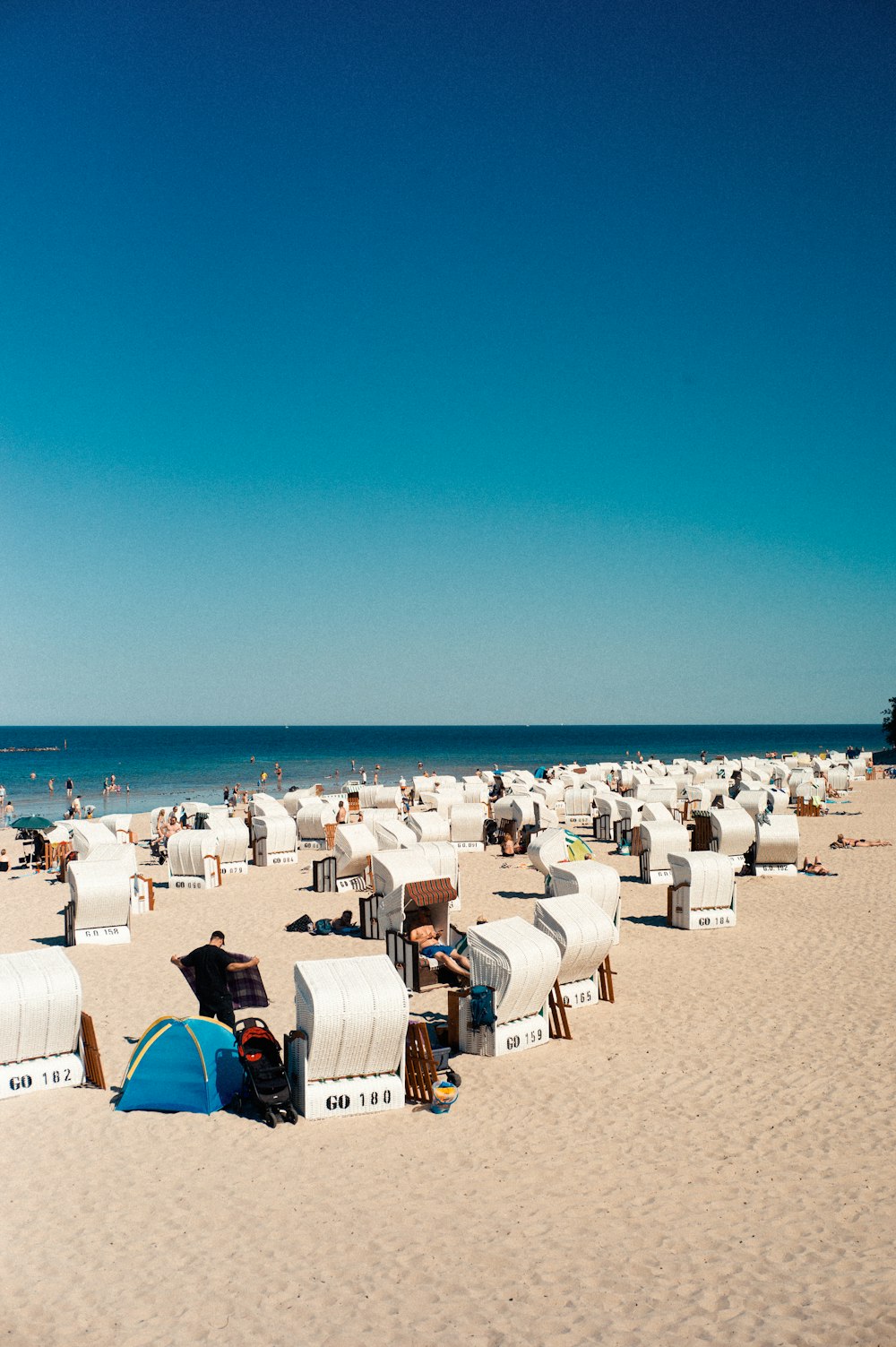 people on beach during daytime