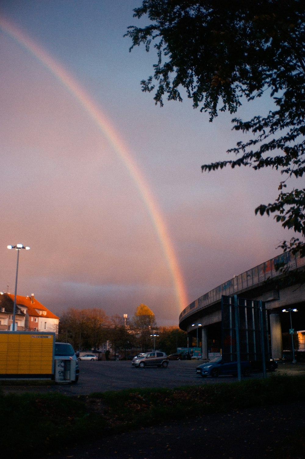 cars parked near building during daytime