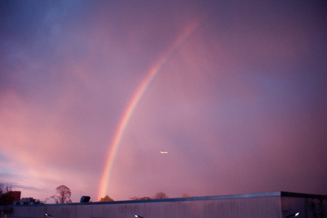 rainbow over body of water during daytime