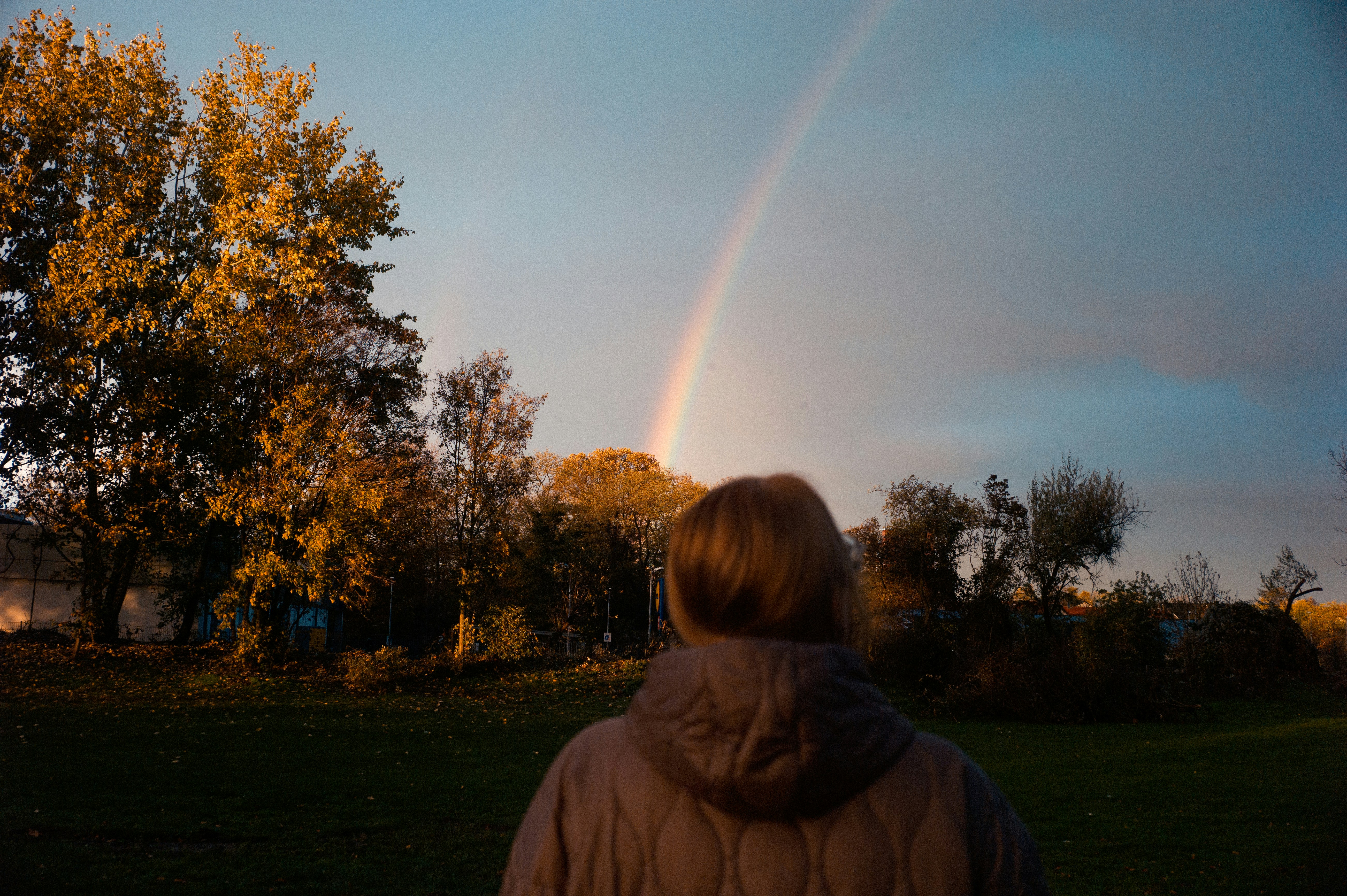 Woman in brown hoodie standing on green grass field during daytime ...
